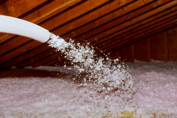 Best Insulation Maintenance and Repair in Hrison, AR
