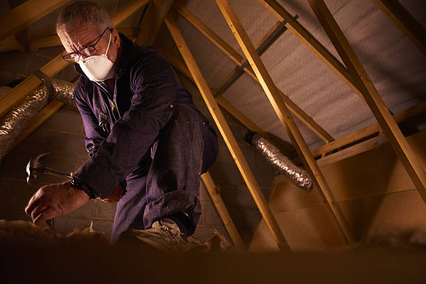 Best Commercial Insulation in Hrison, AR